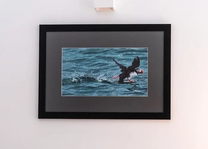 Comfort Διαμέρισμα